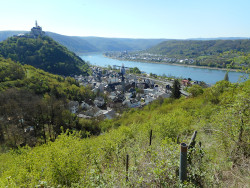 Sicht auf Braubach und Rhein
